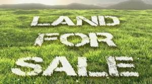 What Is Your Goal In Purchasing Land?